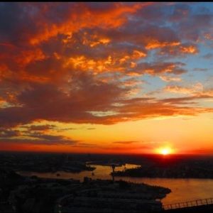 Meet your Posher, Audrey